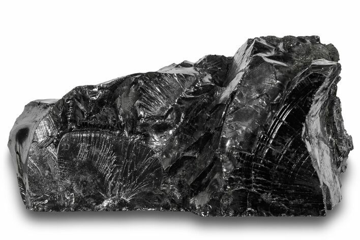 Lustrous, High Grade Shungite - Colombia #246336